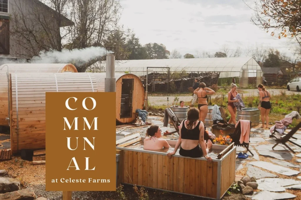 Field Spa: Communal